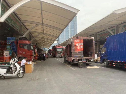 市城管局赴蘇州調(diào)研農(nóng)副產(chǎn)品批發(fā)市場(chǎng)運(yùn)維情況