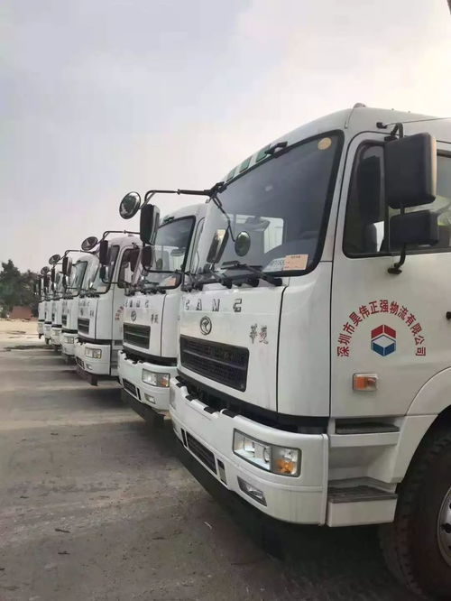 好消息,昊偉集團正強站登上深圳衛視深視新聞