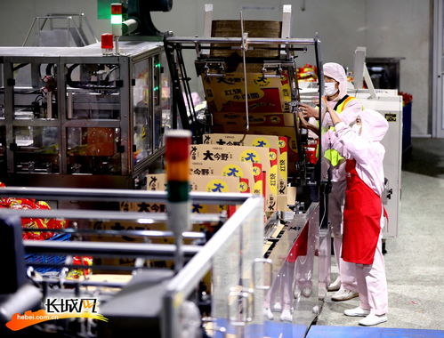 高清組圖 河北隆堯 做強做優食品產業鏈